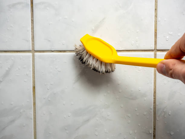 Certified Mold Removal in Tamarac, FL