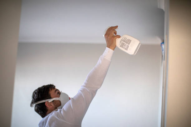Attic Mold Removal in Tamarac, FL